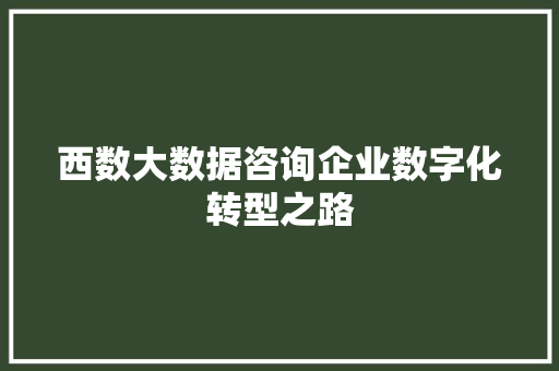 西数大数据咨询企业数字化转型之路