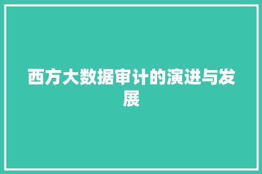 西方大数据审计的演进与发展