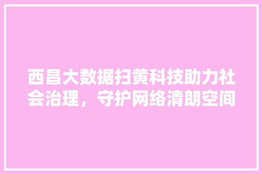 西昌大数据扫黄科技助力社会治理，守护网络清朗空间