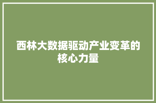 西林大数据驱动产业变革的核心力量