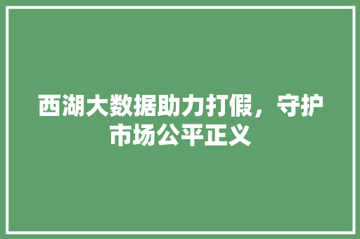 西湖大数据助力打假，守护市场公平正义