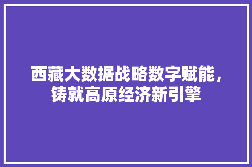 西藏大数据战略数字赋能，铸就高原经济新引擎