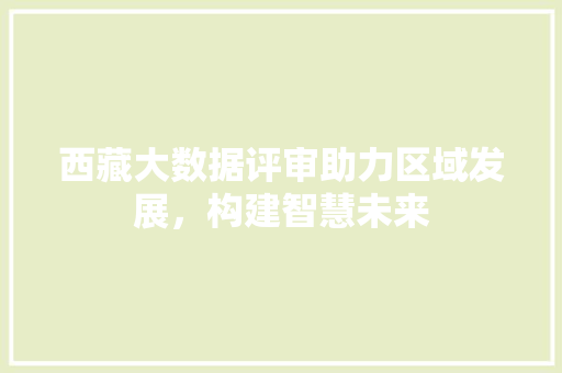 西藏大数据评审助力区域发展，构建智慧未来