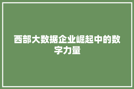 西部大数据企业崛起中的数字力量 西部大数据企业崛起中的数字力量