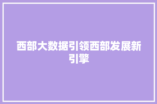 西部大数据引领西部发展新引擎