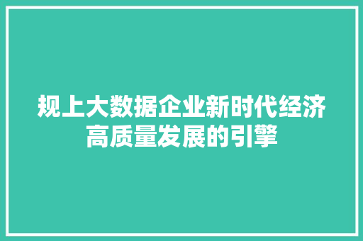 规上大数据企业新时代经济高质量发展的引擎