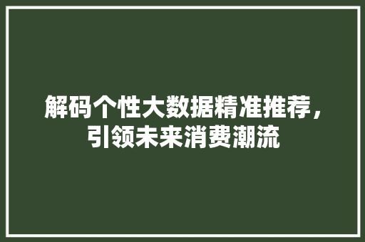 解码个性大数据精准推荐,引领未来消费潮流 解码个性大数据精准推荐,引领未来消费潮流