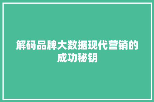 解码品牌大数据现代营销的成功秘钥