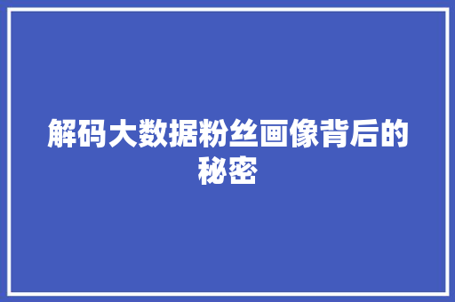 解码大数据粉丝画像背后的秘密