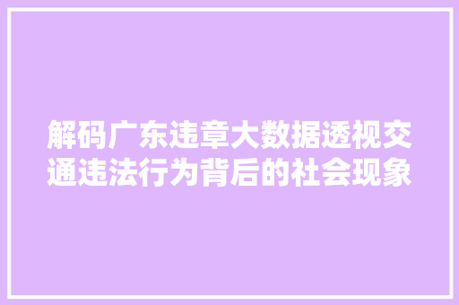 解码广东违章大数据透视交通违法行为背后的社会现象