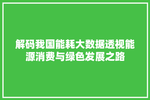 解码我国能耗大数据透视能源消费与绿色发展之路