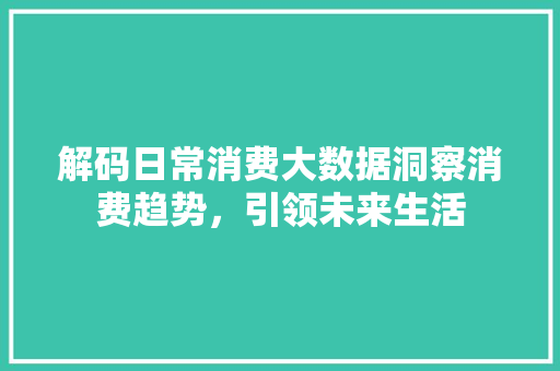 解码日常消费大数据洞察消费趋势，引领未来生活