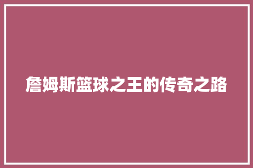 詹姆斯篮球之王的传奇之路