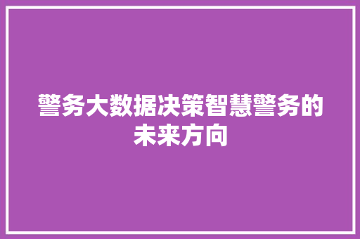 警务大数据决策智慧警务的未来方向