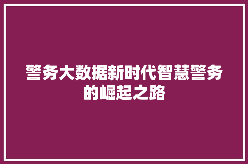 警务大数据新时代智慧警务的崛起之路