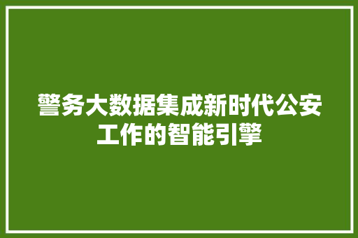 警务大数据集成新时代公安工作的智能引擎