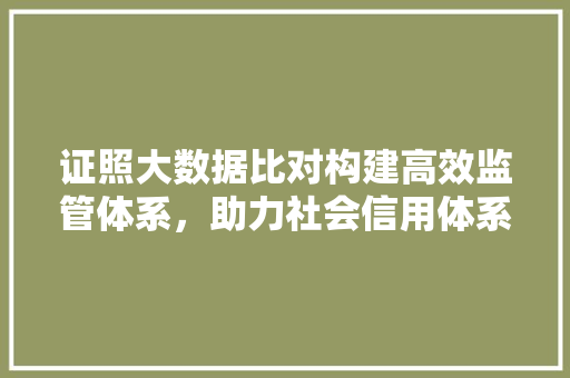 证照大数据比对构建高效监管体系，助力社会信用体系建设