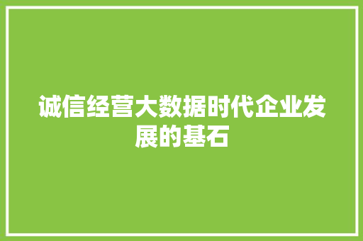 诚信经营大数据时代企业发展的基石