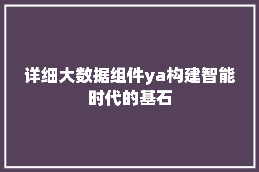 详细大数据组件ya构建智能时代的基石