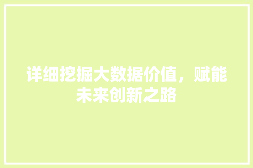 详细挖掘大数据价值，赋能未来创新之路