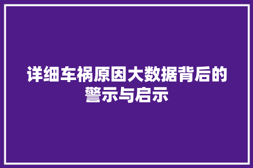 详细车祸原因大数据背后的警示与启示