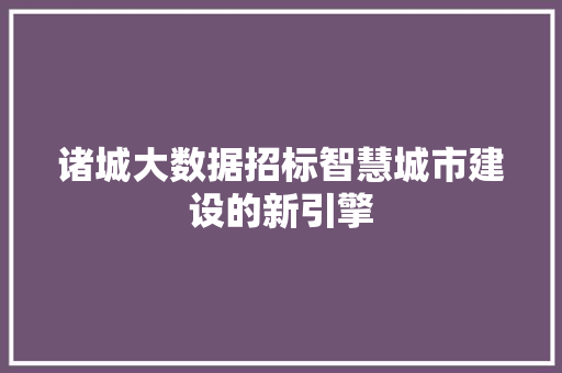 诸城大数据招标智慧城市建设的新引擎 编程语言