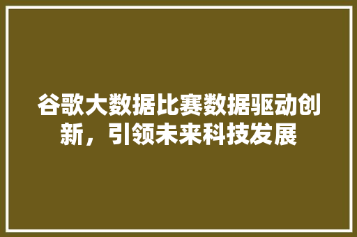 谷歌大数据比赛数据驱动创新，引领未来科技发展