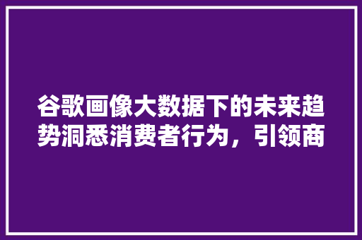 谷歌画像大数据下的未来趋势洞悉消费者行为，引领商业变革