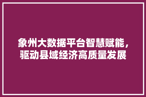 象州大数据平台智慧赋能，驱动县域经济高质量发展