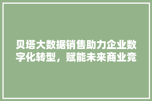 贝塔大数据销售助力企业数字化转型,赋能未来商业竞争 贝塔大数据销售助力企业数字化转型,赋能未来商业竞争