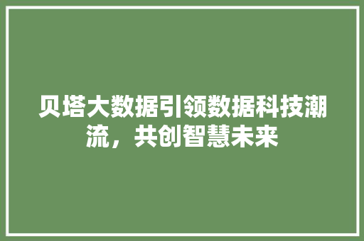 贝塔大数据引领数据科技潮流,共创智慧未来 贝塔大数据引领数据科技潮流,共创智慧未来