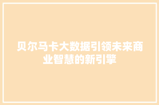 贝尔马卡大数据引领未来商业智慧的新引擎