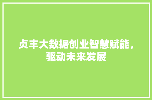 贞丰大数据创业智慧赋能，驱动未来发展