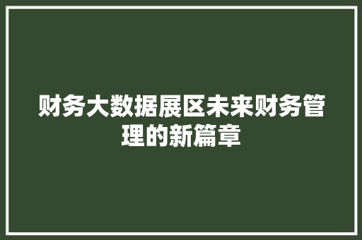 财务大数据展区未来财务管理的新篇章