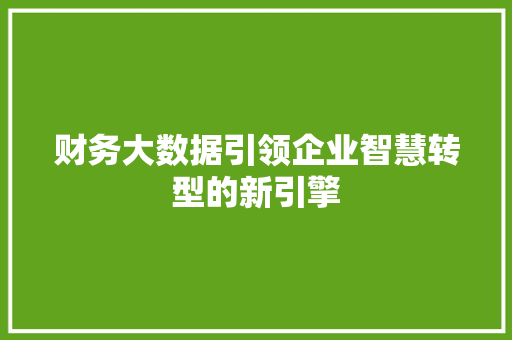 财务大数据引领企业智慧转型的新引擎