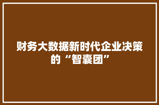 财务大数据新时代企业决策的“智囊团”