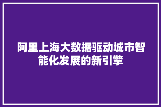 阿里上海大数据驱动城市智能化发展的新引擎