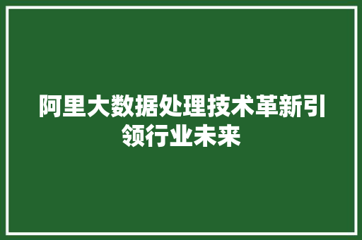 阿里大数据处理技术革新引领行业未来