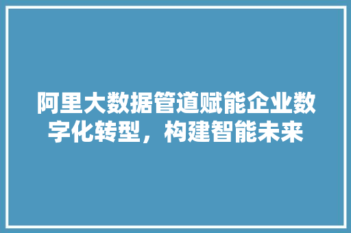 阿里大数据管道赋能企业数字化转型，构建智能未来