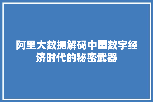 阿里大数据解码中国数字经济时代的秘密武器