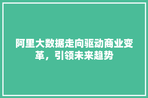 阿里大数据走向驱动商业变革，引领未来趋势