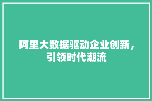 阿里大数据驱动企业创新，引领时代潮流