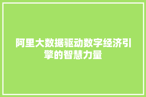 阿里大数据驱动数字经济引擎的智慧力量