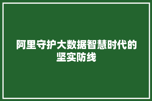 阿里守护大数据智慧时代的坚实防线