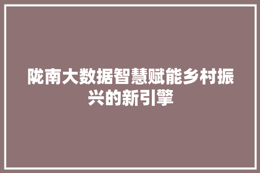 陇南大数据智慧赋能乡村振兴的新引擎