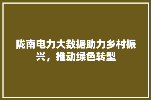 陇南电力大数据助力乡村振兴，推动绿色转型
