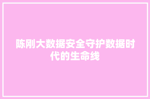 陈刚大数据安全守护数据时代的生命线