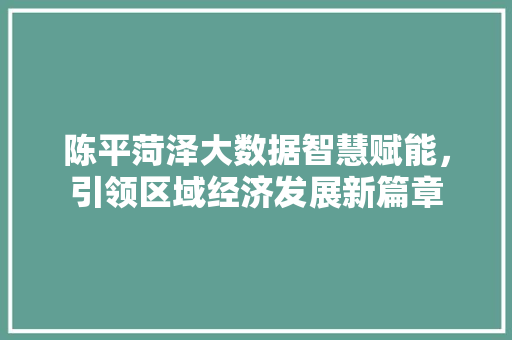 陈平菏泽大数据智慧赋能，引领区域经济发展新篇章