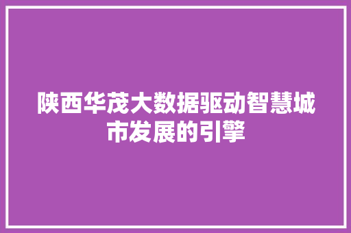 陕西华茂大数据驱动智慧城市发展的引擎
