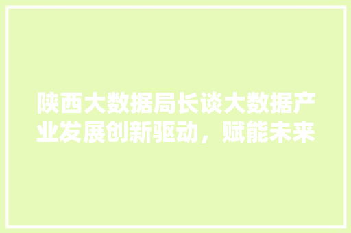 陕西大数据局长谈大数据产业发展创新驱动，赋能未来